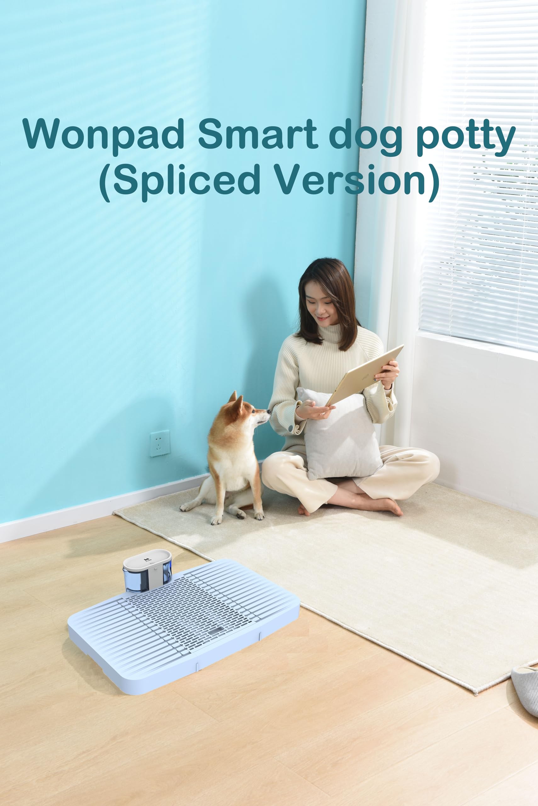 WonPad - reduction-odeurs: aide à maintenir l’intérieur sans odeurs.