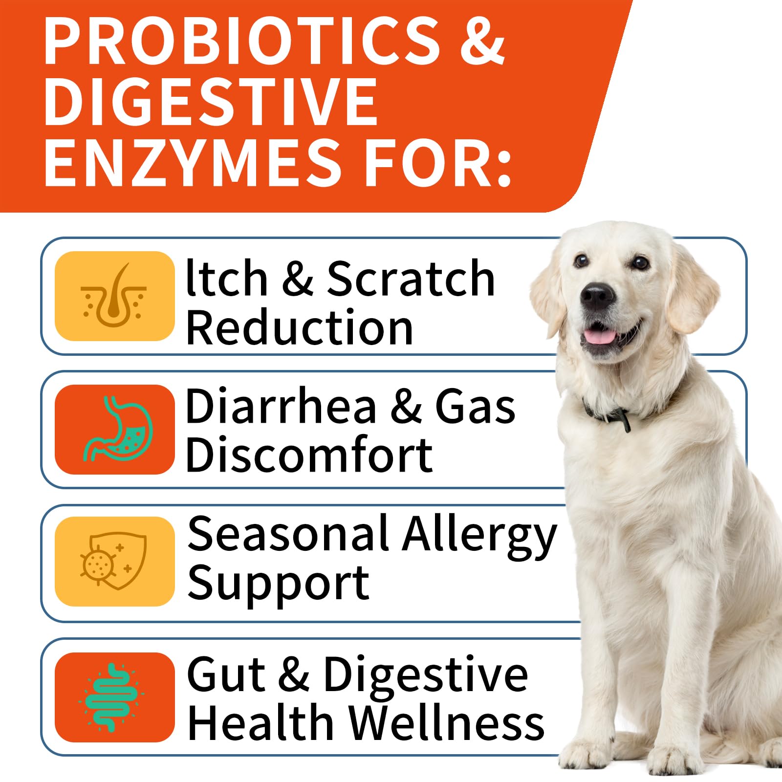 WONTECHMI Probiotiques chien — emballage pratique facilitant les repas.