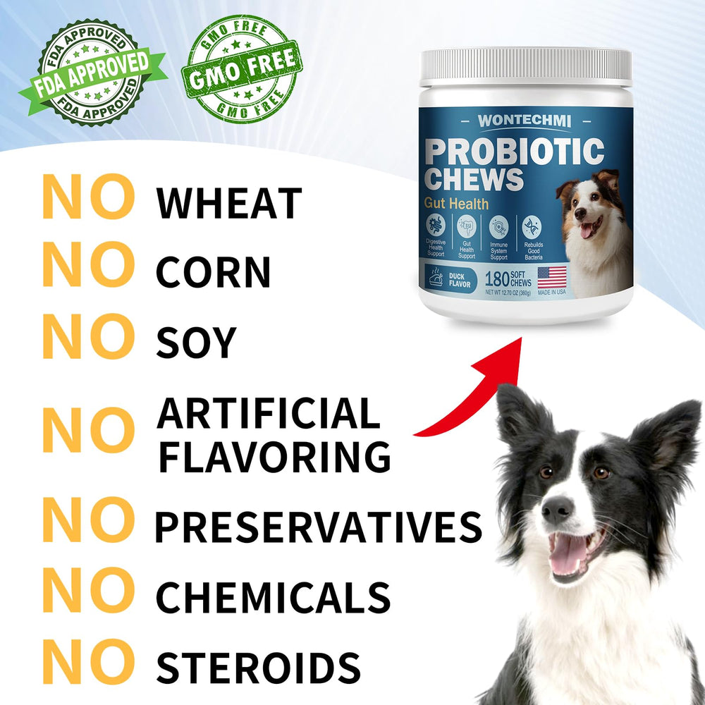 WONTECHMI Probiotiques chien — ingrédients naturels sans colorants artificiels.