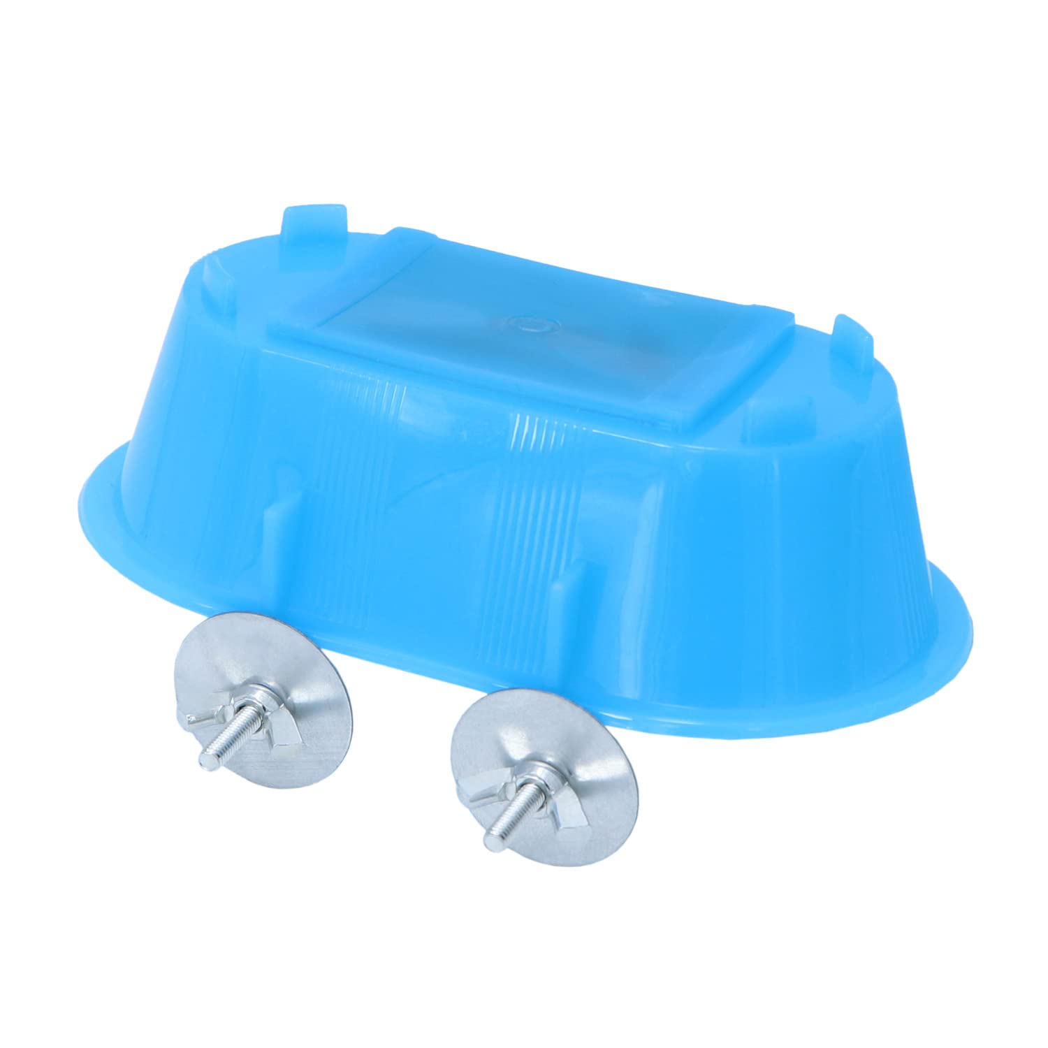 Idée pratique pour le bien-être aviaire et les routines de bain