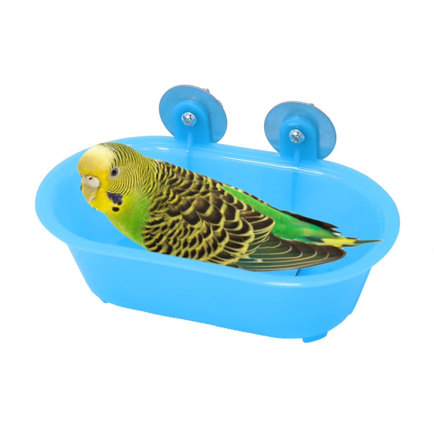 Baignoire Wontee pour oiseau avec miroir intégré pour stimulation pendant le bain