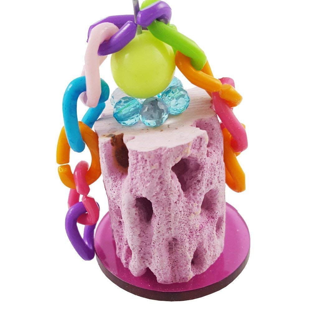Wontee jouet de grignotage – plaisir pour petits animaux lors du rongement