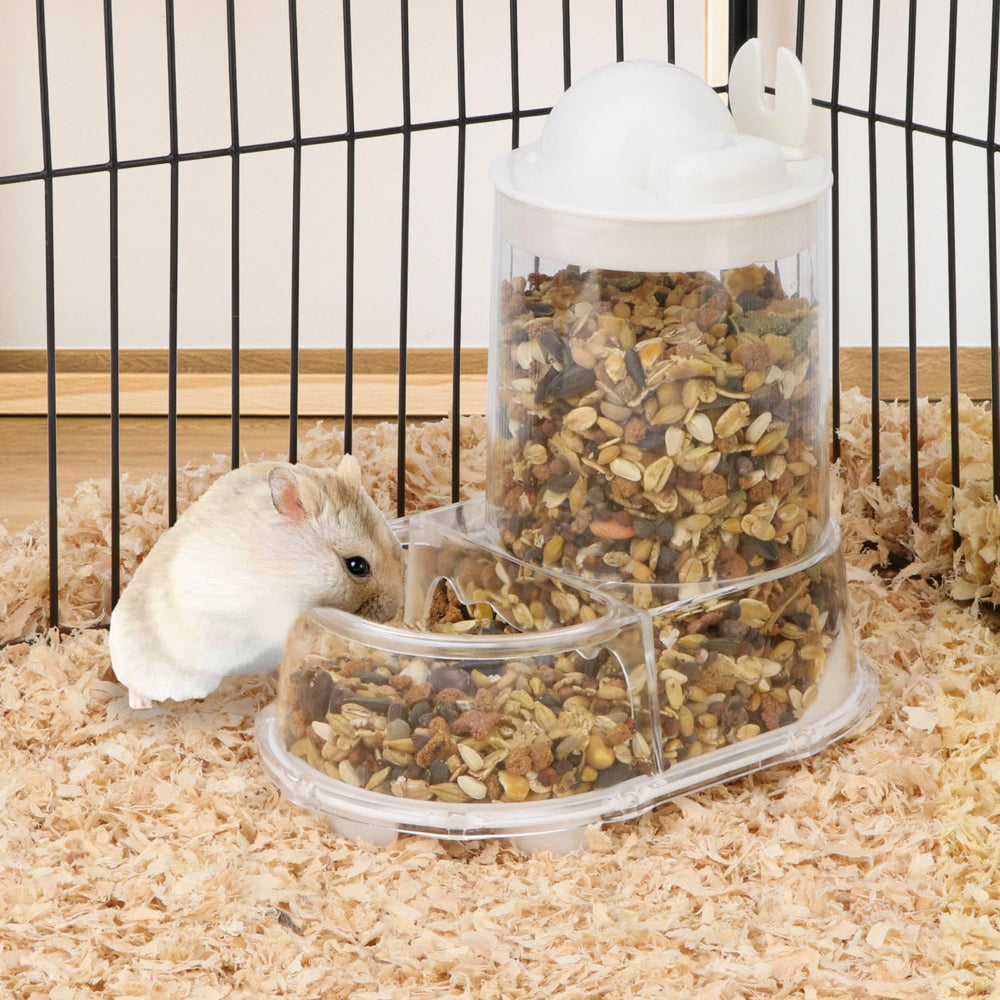 Wontee bol transparent: surveiller rapidement l'apport de nourriture.
