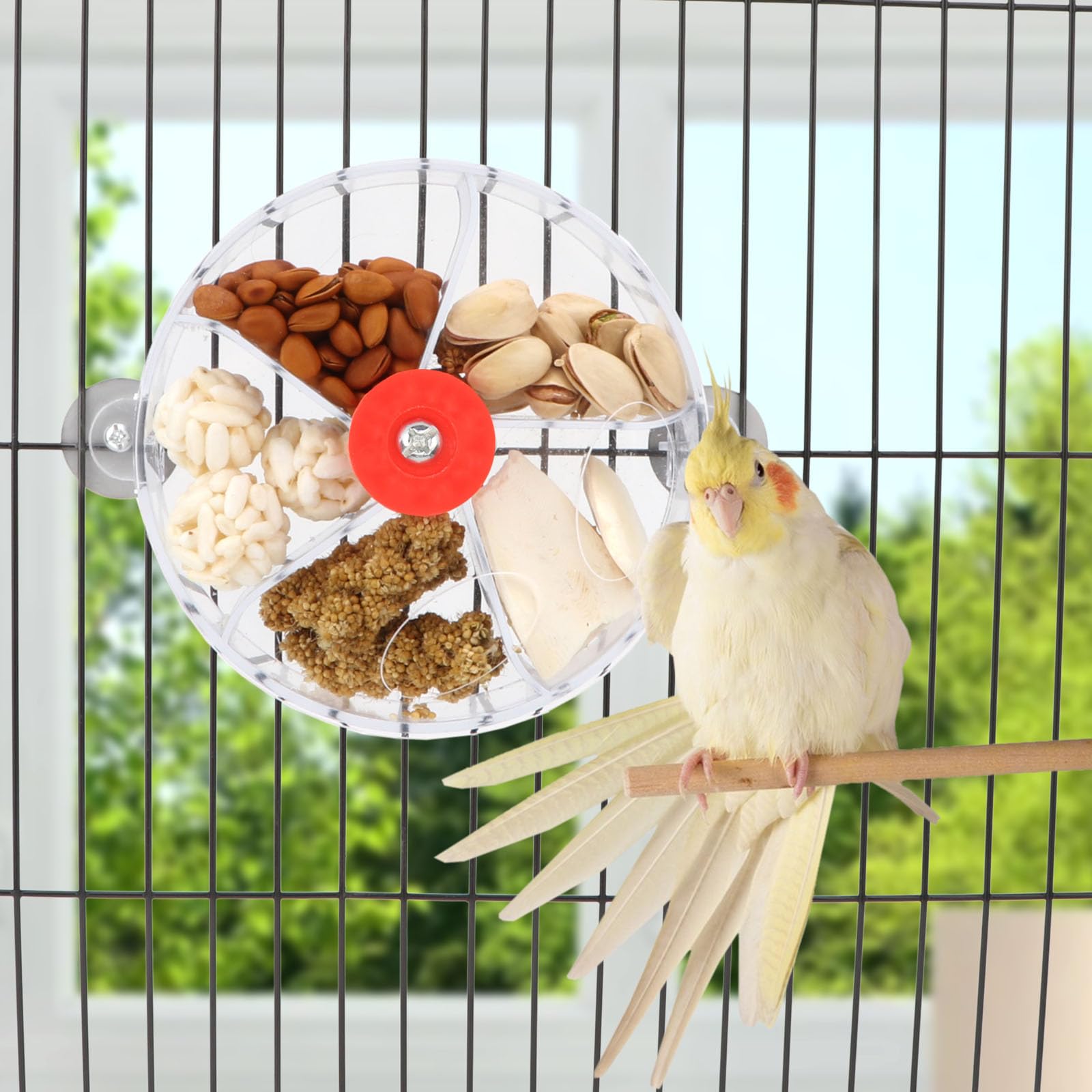 Wontee roue-forage-oiseaux transparente-interieur: accès facile à diverses friandises.