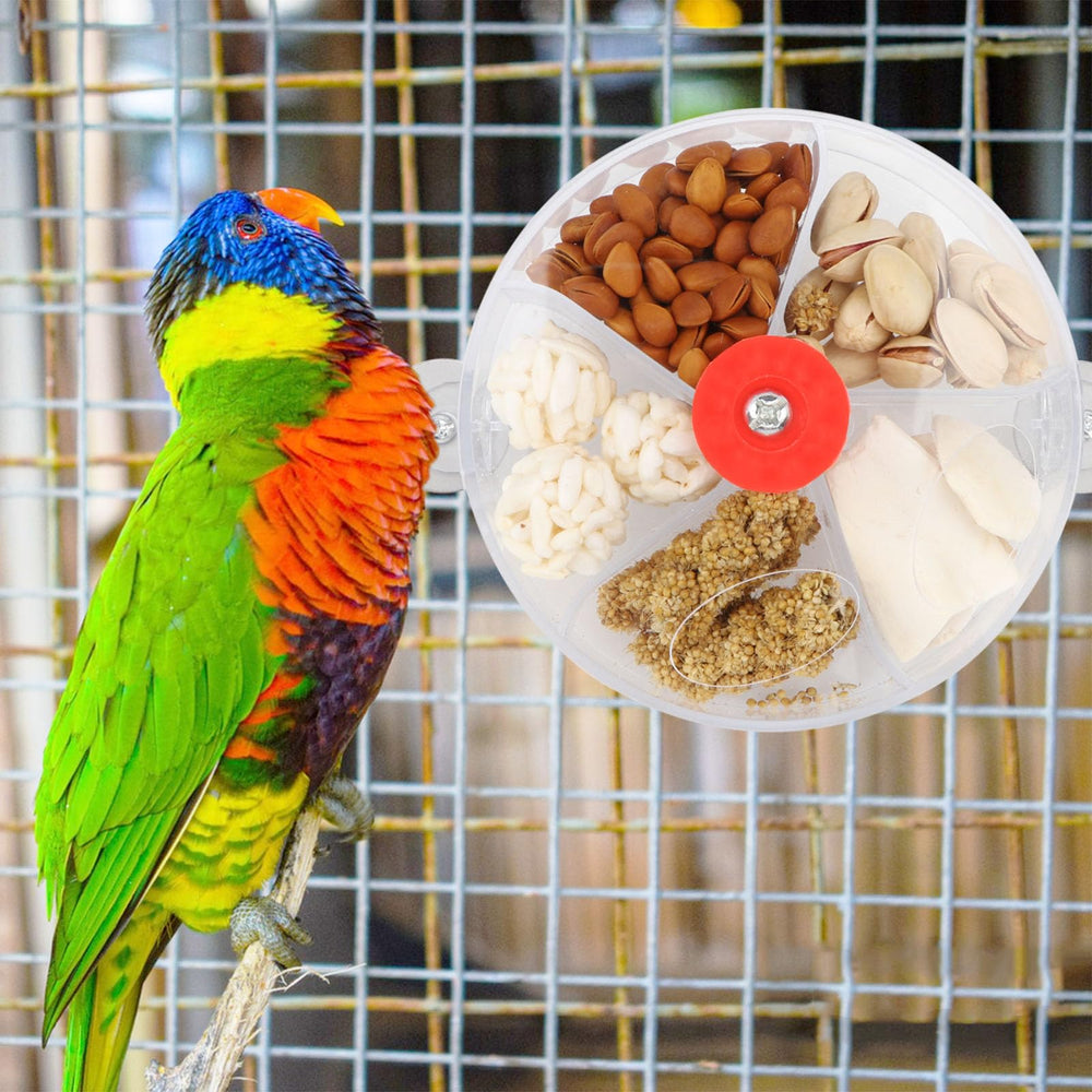 Wontee roue-forage-oiseaux transparente-ouverture: invite à explorer et découvrir les aliments.