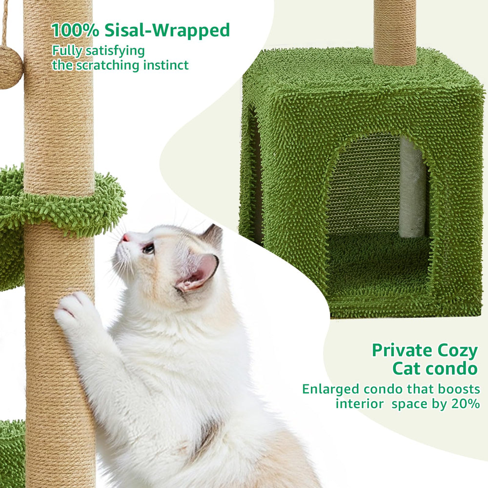 Woochpet balle en sisal: jeu de griffes et d'agilité intégré.