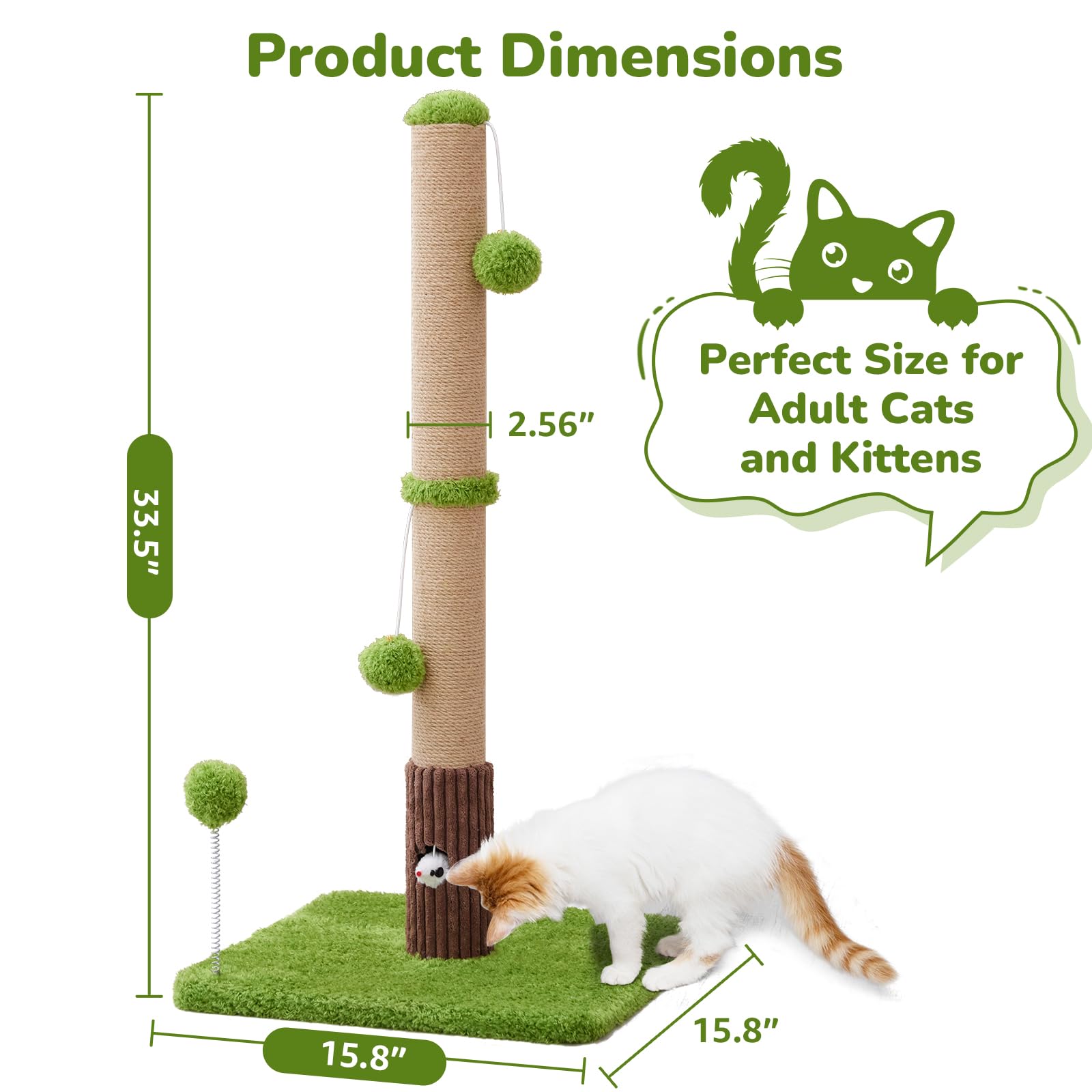 Woochpet base-douceur-velours, espace de repos confortable après le jeu.