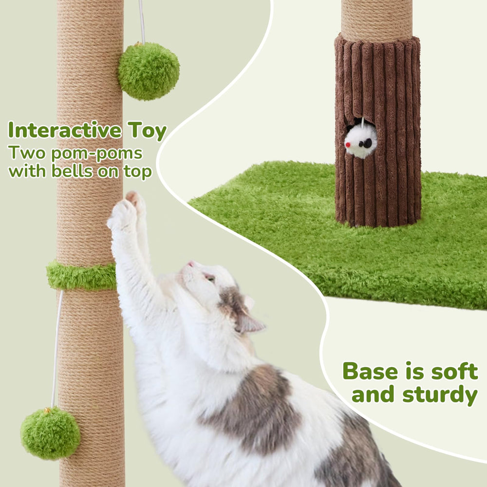 Woochpet base-solide-en-bois-durable, stabilité accrue lors des jeux dynamiques.