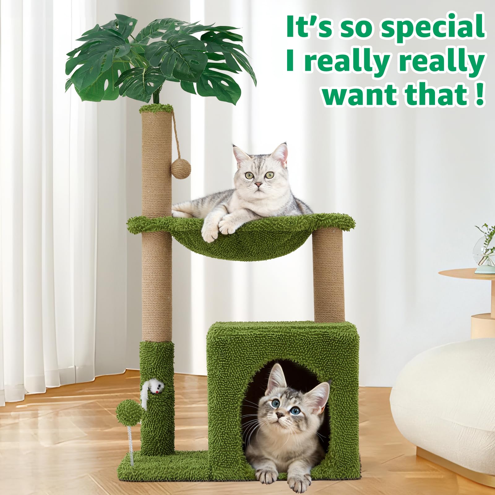 Woochpet déco jungle intérieur: intégration harmonieuse dans votre salon.