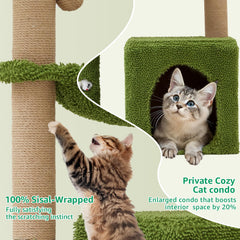 Woochpet éléments végétaux: décoration naturelle qui stimule la curiosité du chat.