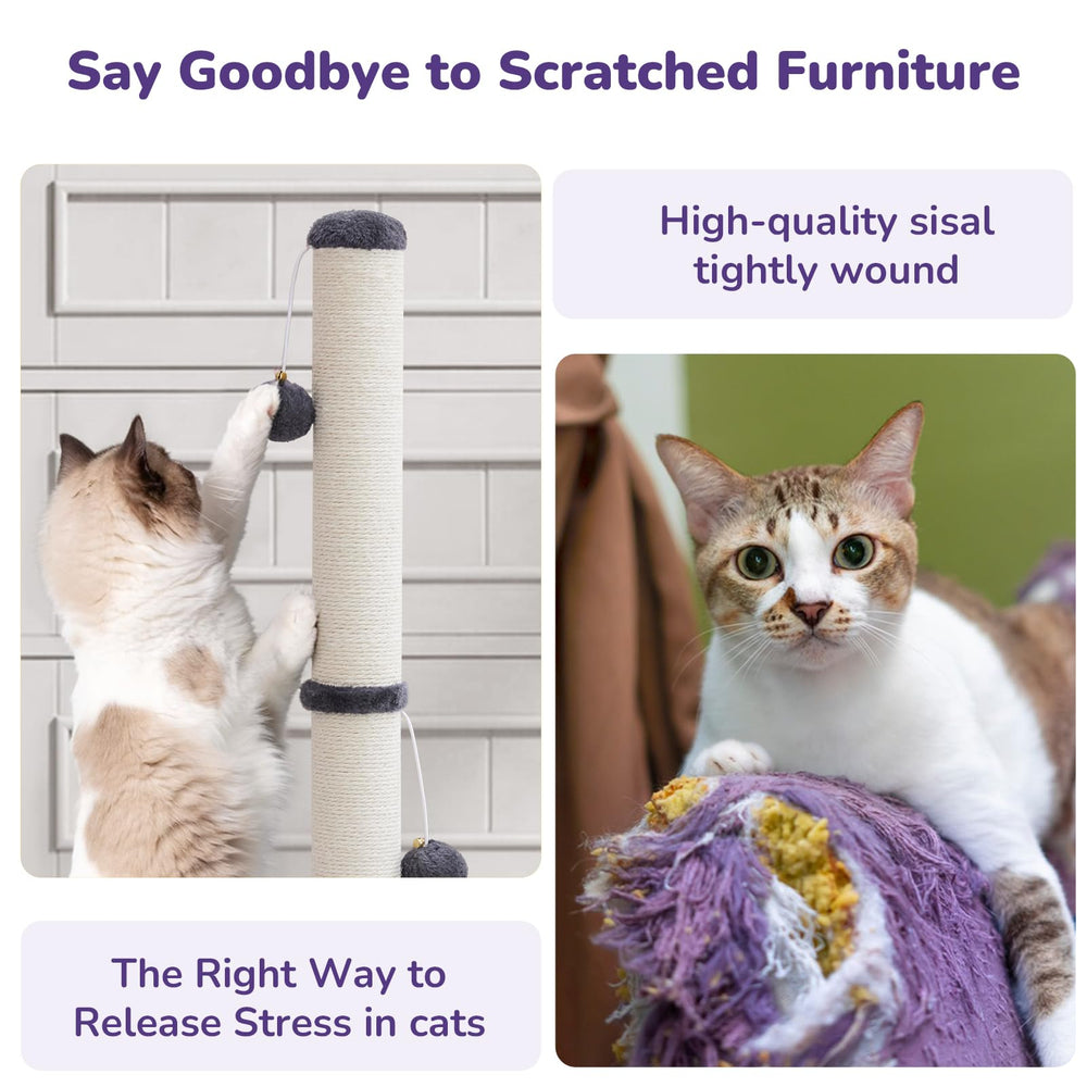 Woochpet griffage chat appartement solide et sûr pour intérieur.