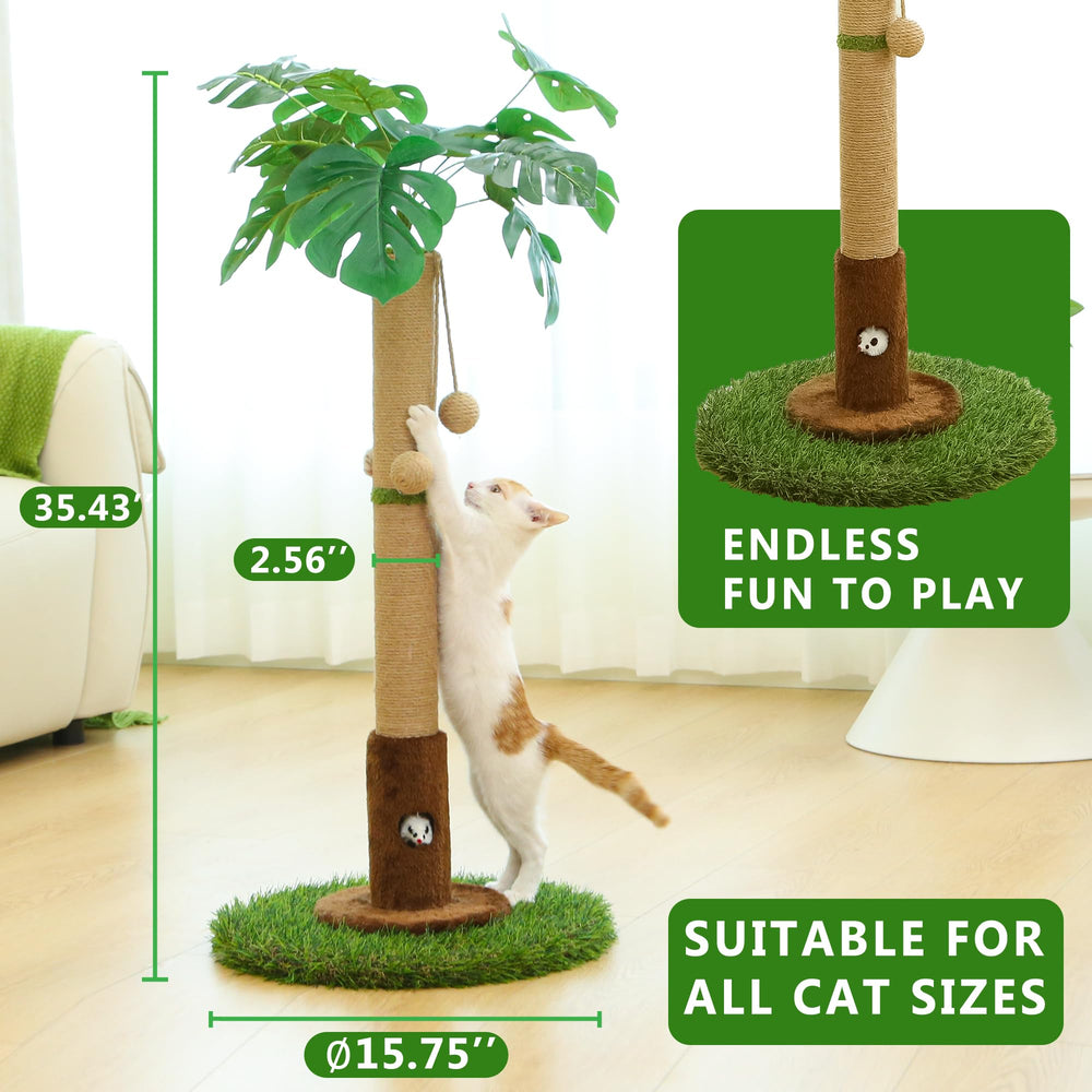 Woochpet: utilisation en intérieur, parfait pour divertissement et grattage.