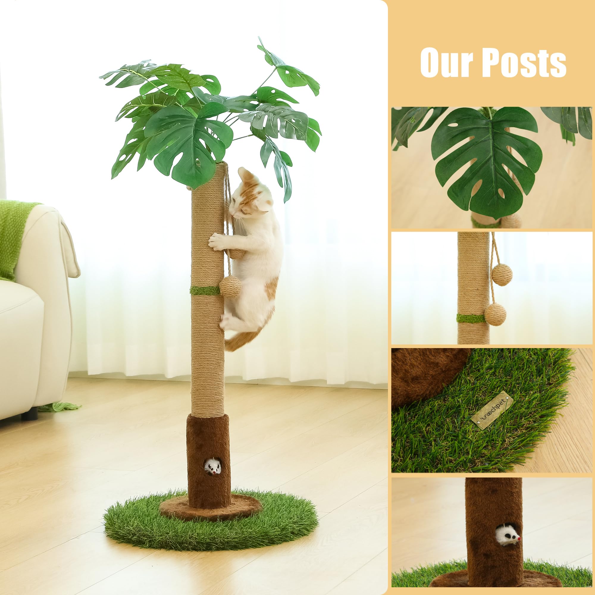 Woochpet: décor tropical discret s'intégrant à votre intérieur et stimulant l'activité.
