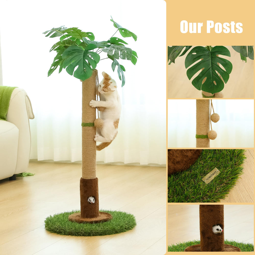 Woochpet: décor tropical discret s'intégrant à votre intérieur et stimulant l'activité.