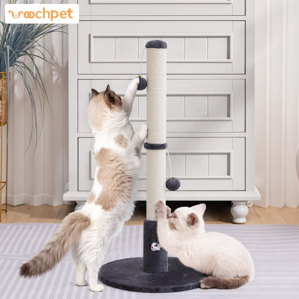 Woochpet pote-griffage 33 pouces offre surface de jeu et détente.