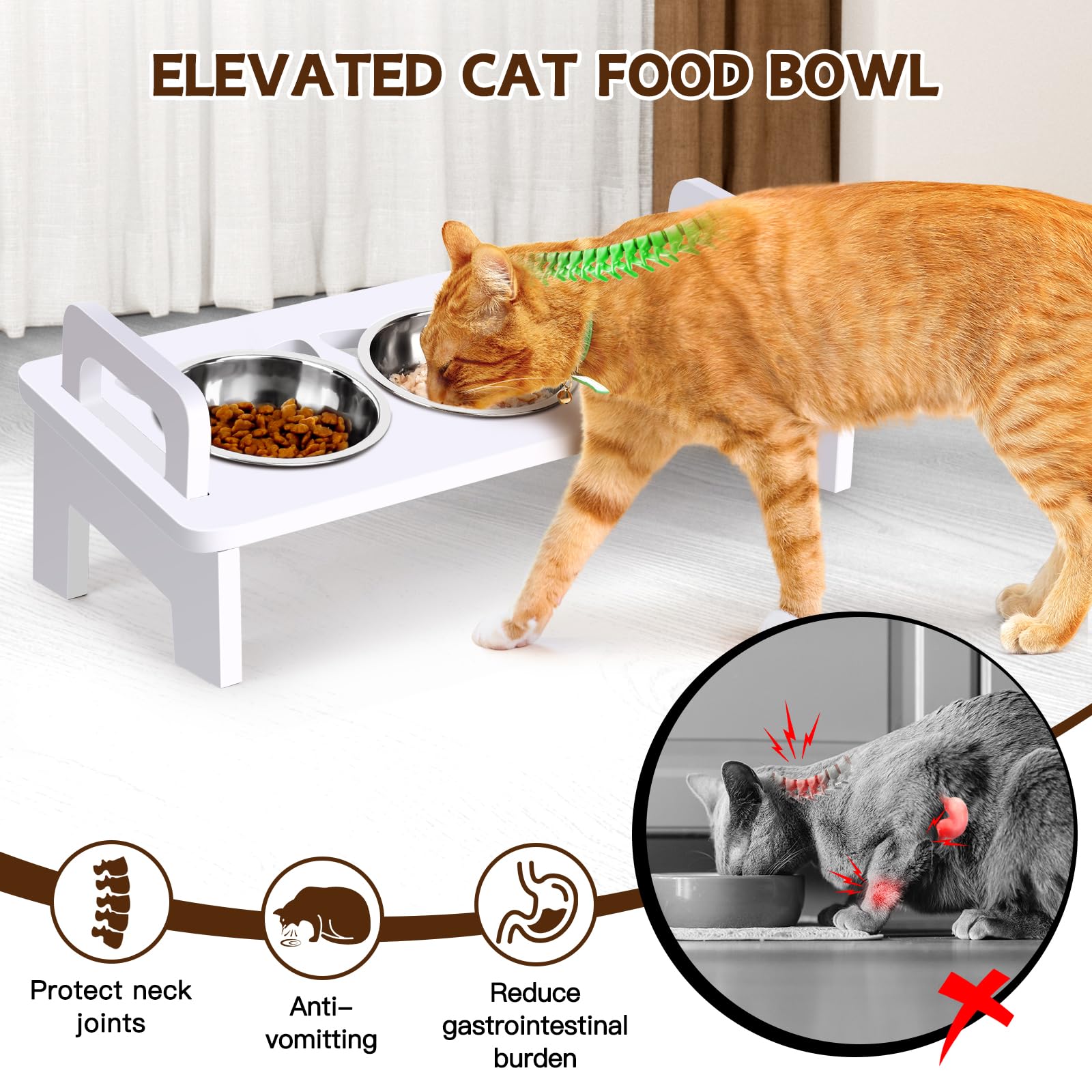 Woodever bols inox 304 chat hygiéniques et durables