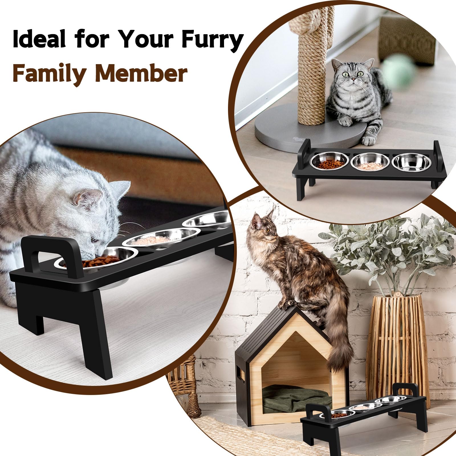 Woodever cadeau chat ideal – offre pratique et esthetique