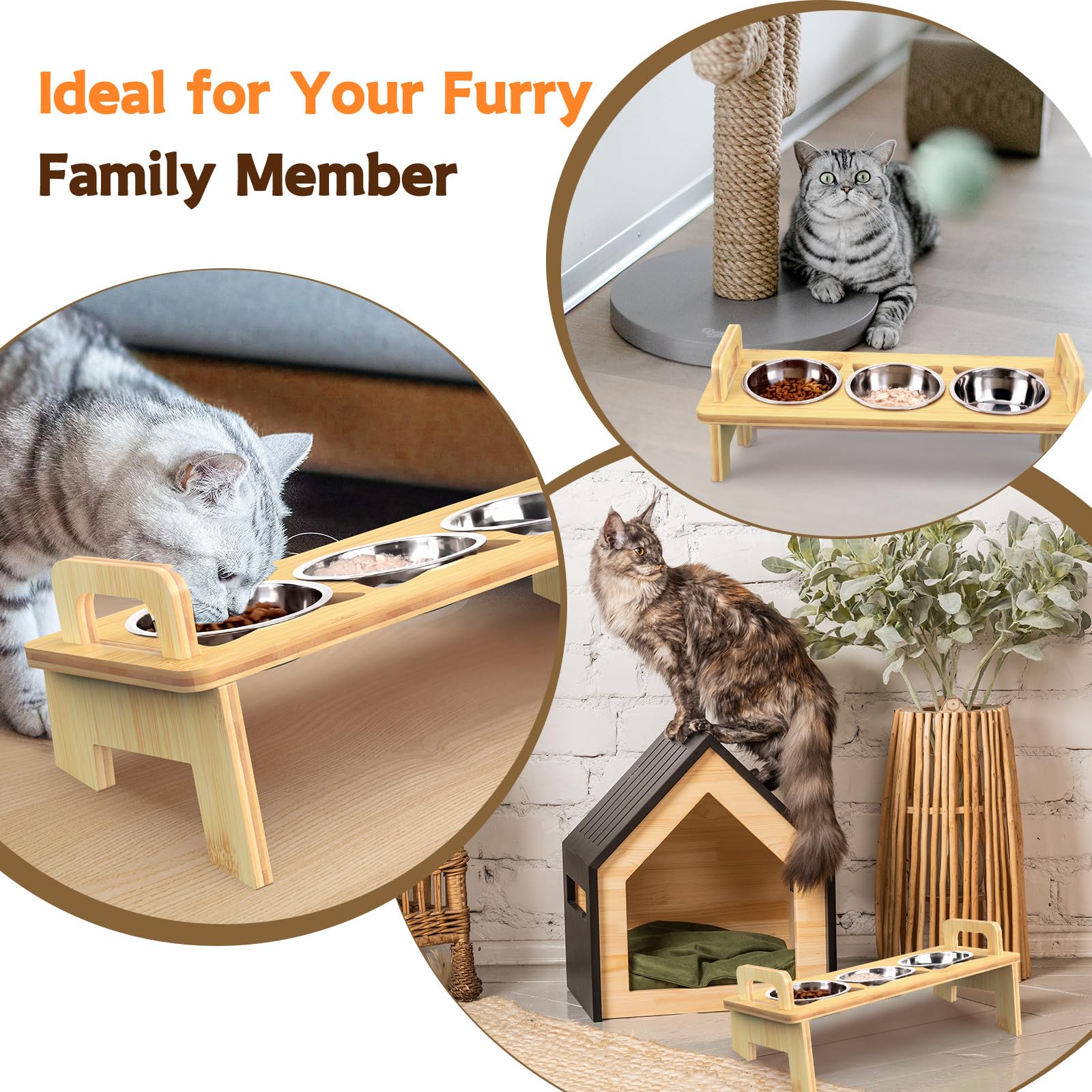 Woodever: cadeau chic pour tout foyer, améliore l'expérience dîner du chat.