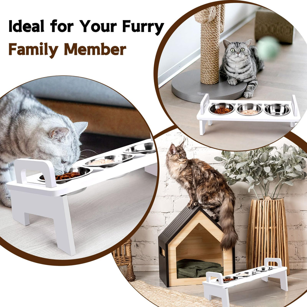 Woodever cadeau ideale chat ensemble alimentation elegante et fonctionnel