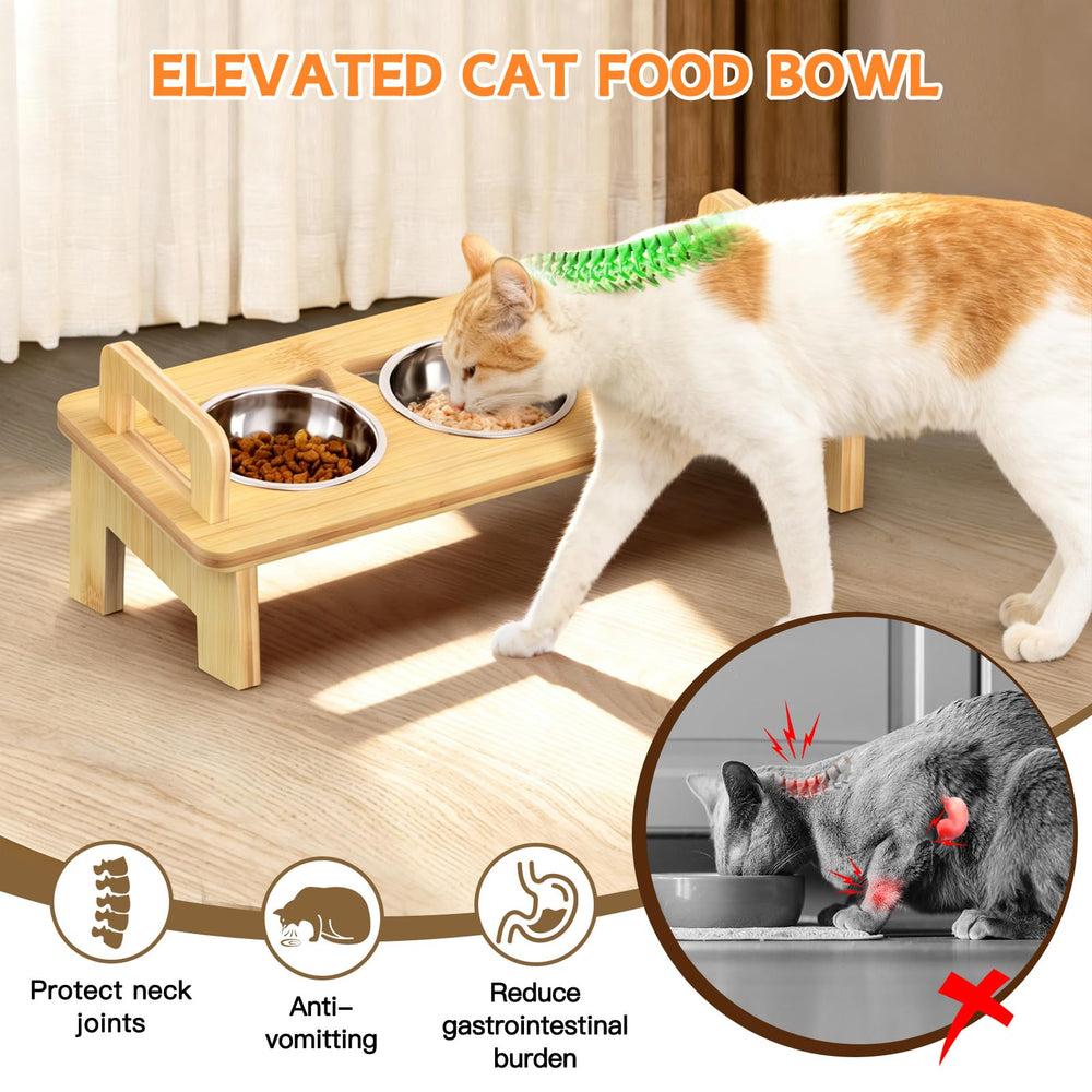 Woodever: ensemble dîner chat inclinaison 15°, réduction fatigue moustaches.