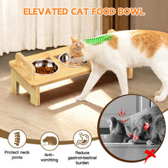 Woodever: ensemble dîner chat inclinaison 15°, réduction fatigue moustaches.