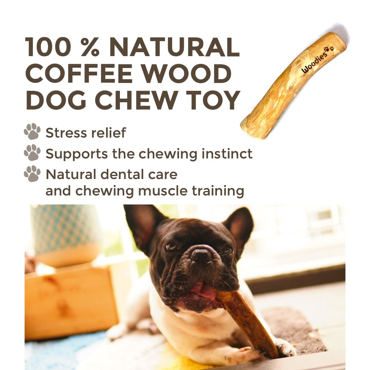 Woodies Dog Chews: lutte contre l’ennui et le stress pendant les jeux