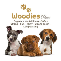 Woodies Dog Chews: sécurité et mastication sur bois de café