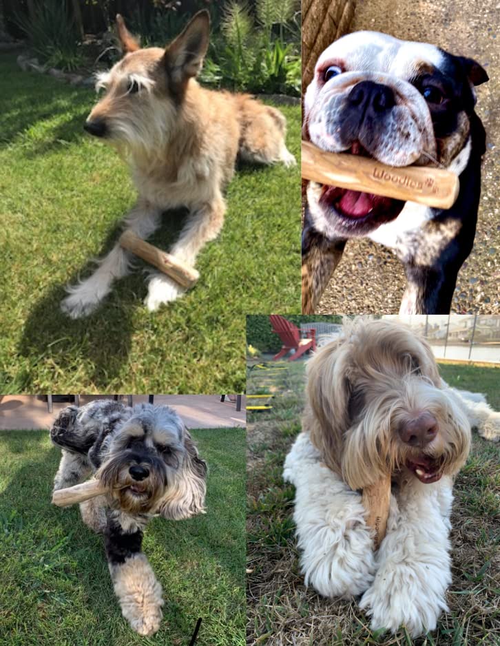 Woodies Dog Chews: tailles S à XL pour tous les chiens