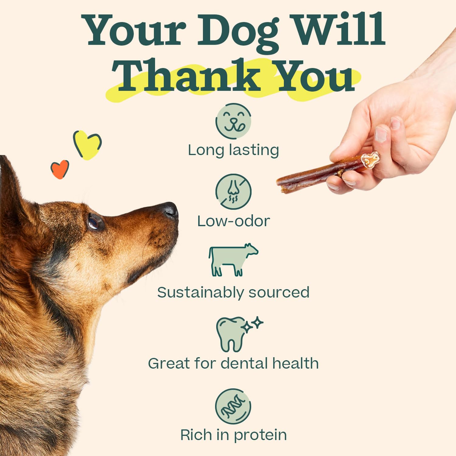 Bâtonnet Woof sans odeur, option agréable pour chien et propriétaire.