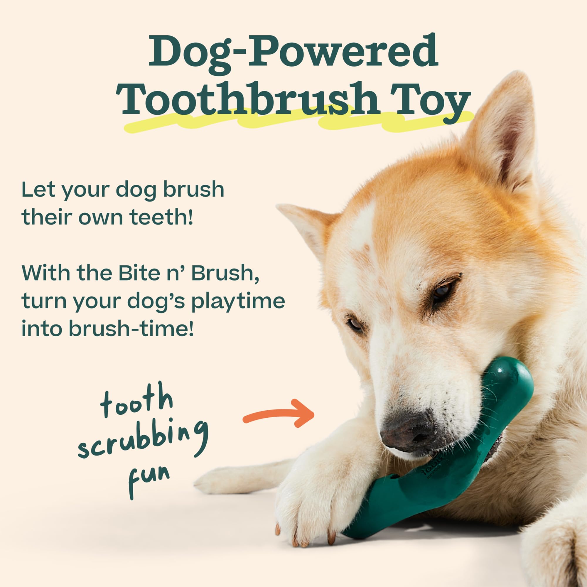 WOOF Bite n' Brush facile à insérer: le chien peut brosser en mâchant.
