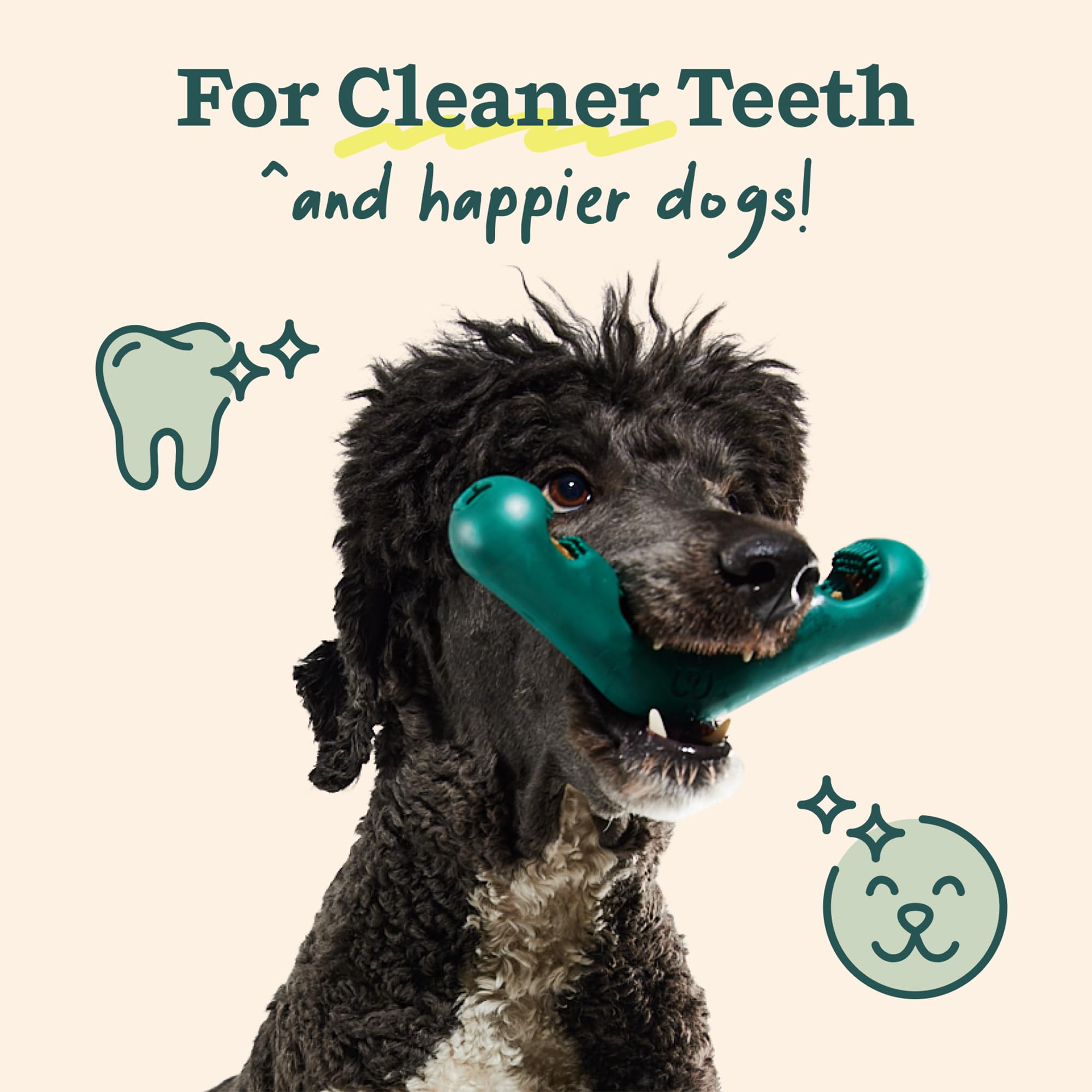 Jouet dentaire Bite n' Brush: divertit le chien tout en nettoyant les dents.