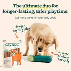 Woof BullySafe et baton à mâcher : distraction sûre pour chiens.