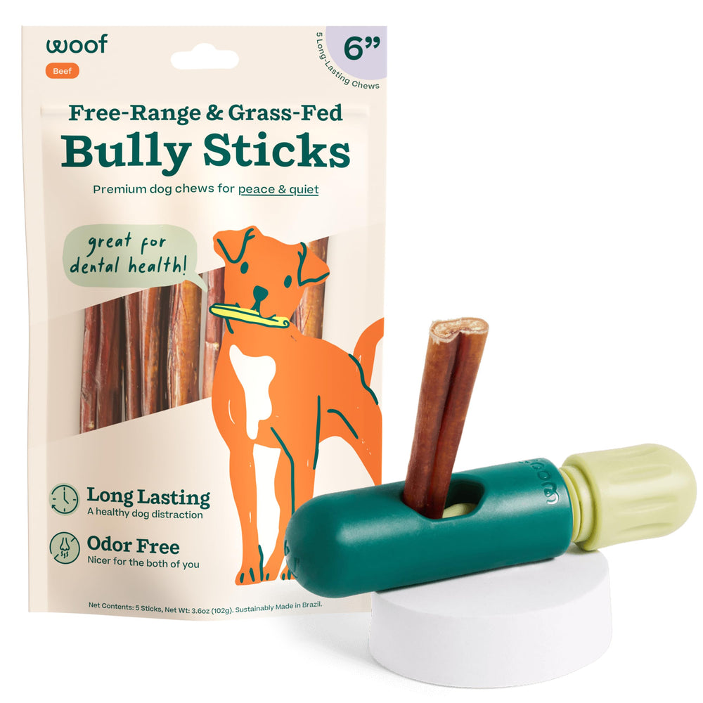 Woof BullySafe : support de mordillage sécurisé pour chiens.