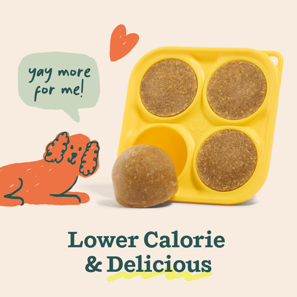 WOOF Pupsicle Bien-Être Digestif: ingrédients potentiellement bénéfiques pour la digestion.