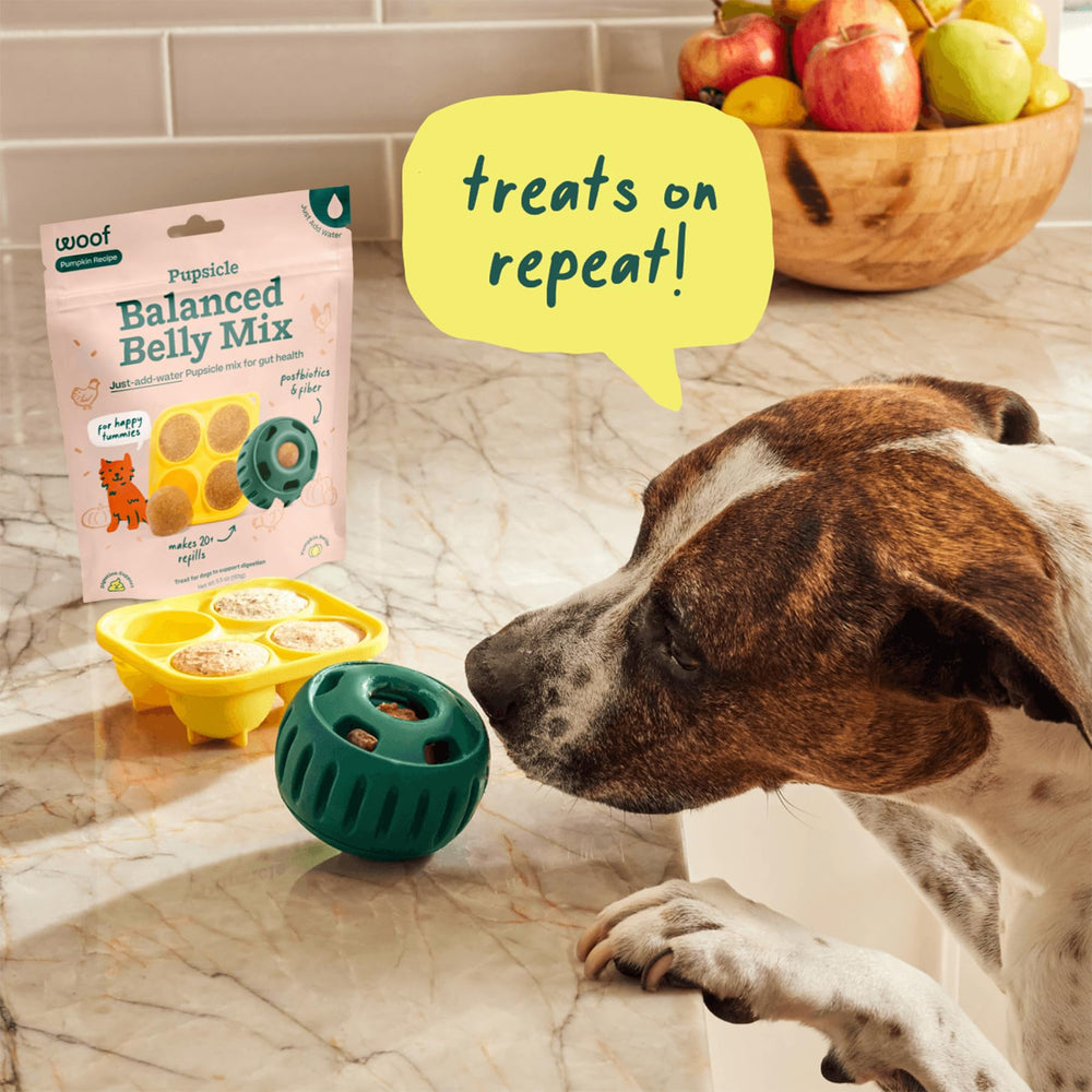WOOF Pupsicle Utilisation: parfait comme topping ou pâte glacée pour chien.