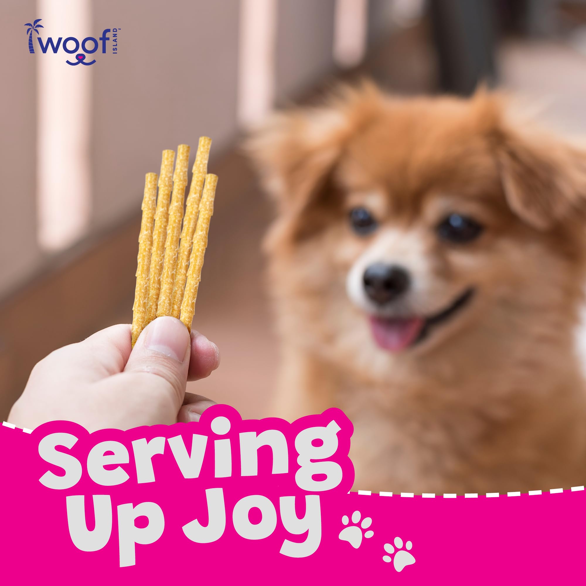Woof Island goût coco, nutriments essentiels pour chien.