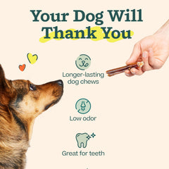 Lot Woof de 5 bâtons à mâcher : option pratique pour chiens.