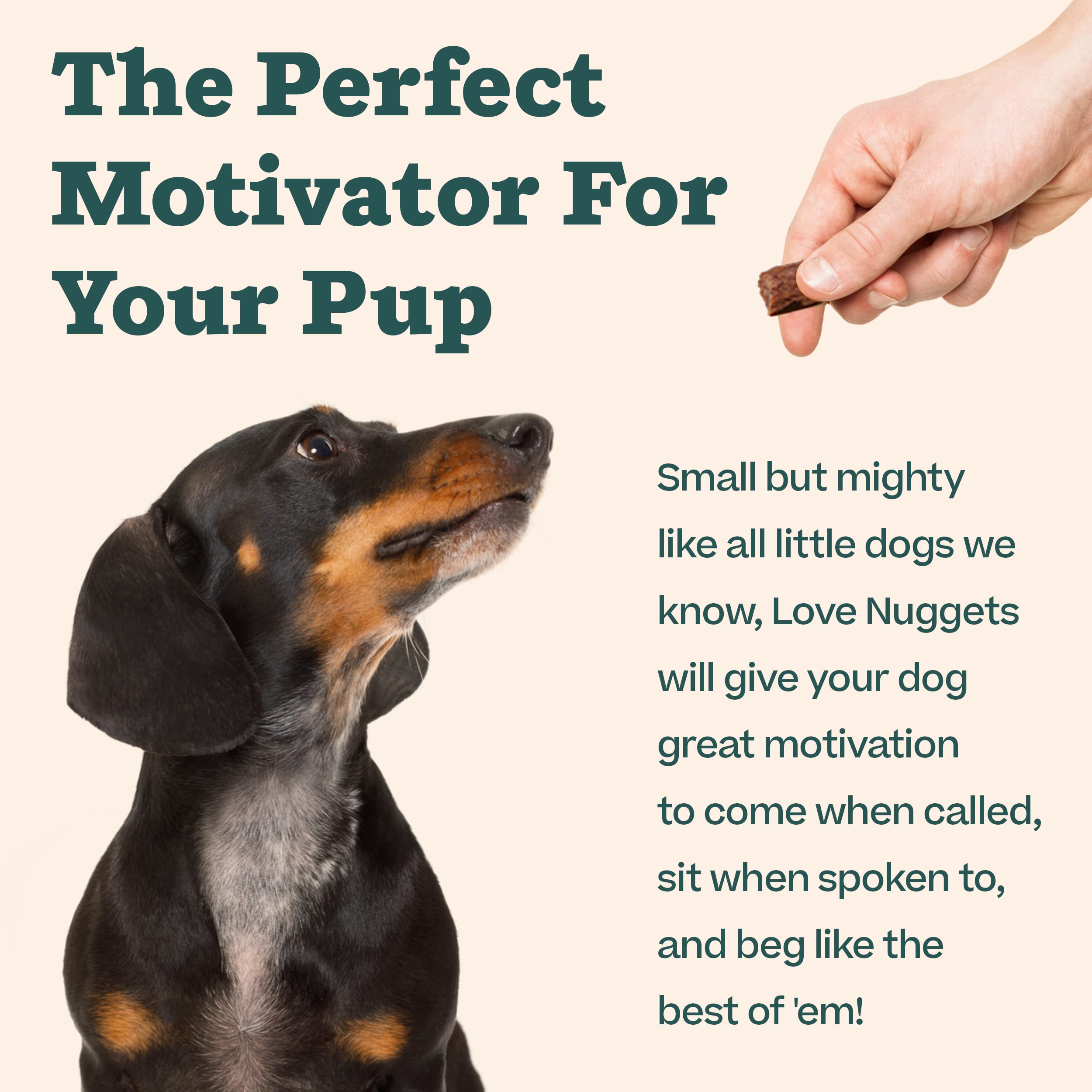 Love Nuggets WOOF, forte teneur en protéines pour stimuler l'énergie lors des sessions.