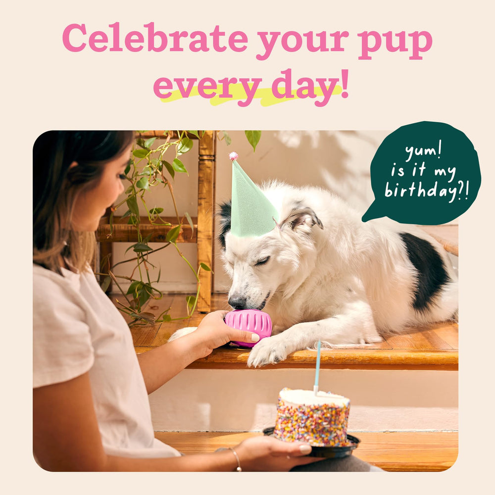 WOOF Party Pupsicle, caoutchouc naturel, offre durabilité et sécurité lors des mâchouilles.