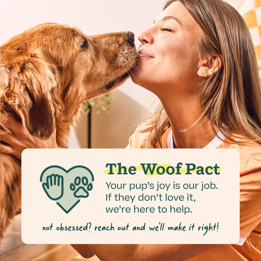 WOOF Party Pupsicle, jouet durable, convient à toutes les tailles de chiens.