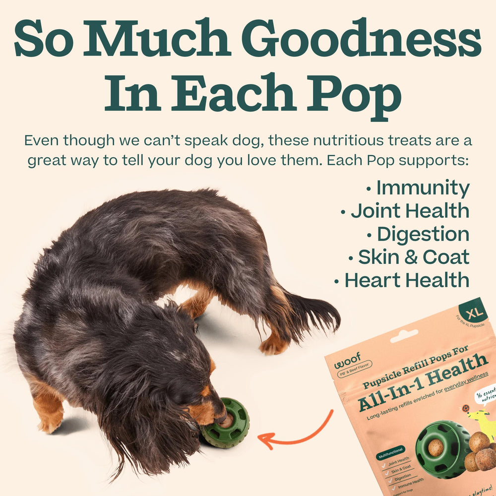 WOOF Pupsicle: aventure-randonnee-chien, snack pratique en plein air.