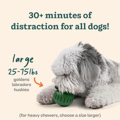 WOOF Pupsicle: préparer des friandises glacées maison avec des ingrédients variés.