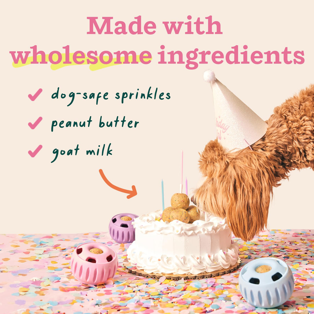WOOF Pupsicle-jouet-enrichissant : enrichissement en déplacement.
