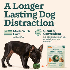 WOOF Pupsicle longue durée snack chien: moment d’amusement qui occupe