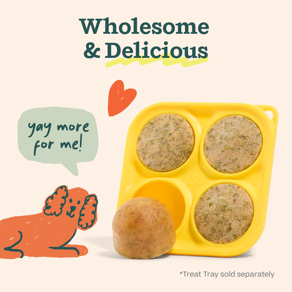 Mélange dentaire WOOF Pupsicle pour une haleine plus fraîche.