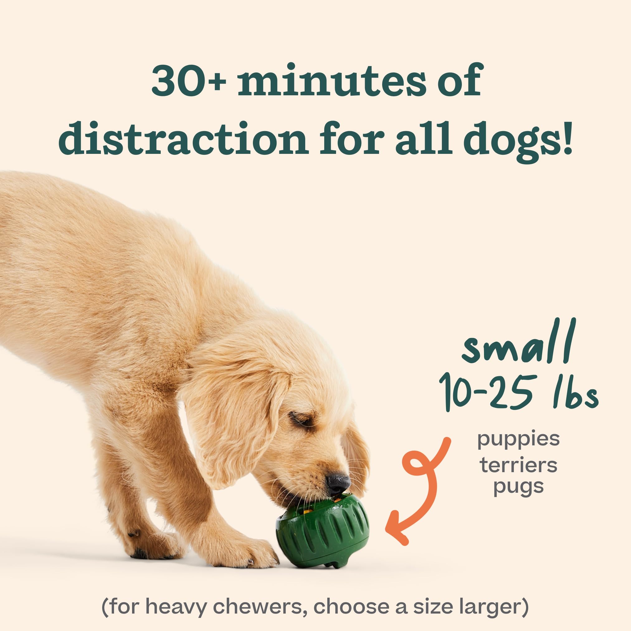 WOOF Pupsicle: ouvertures adaptees petits chiens pour une experience sûre.