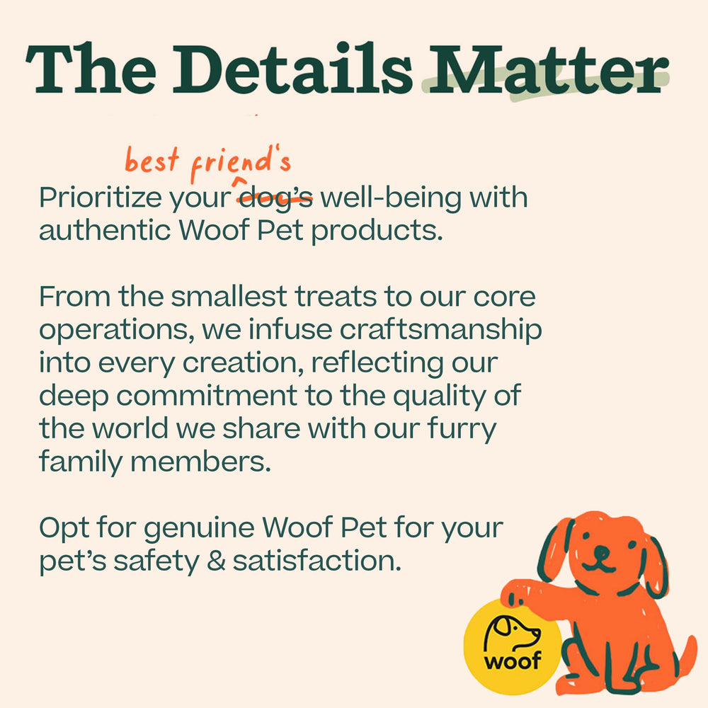 Sortie en voiture avec Pupsicle Refill Pops de WOOF, pratique et sûre.
