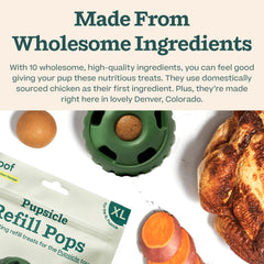 WOOF Pupsicle Refill sans réfrigération, pratique pour les sorties.
