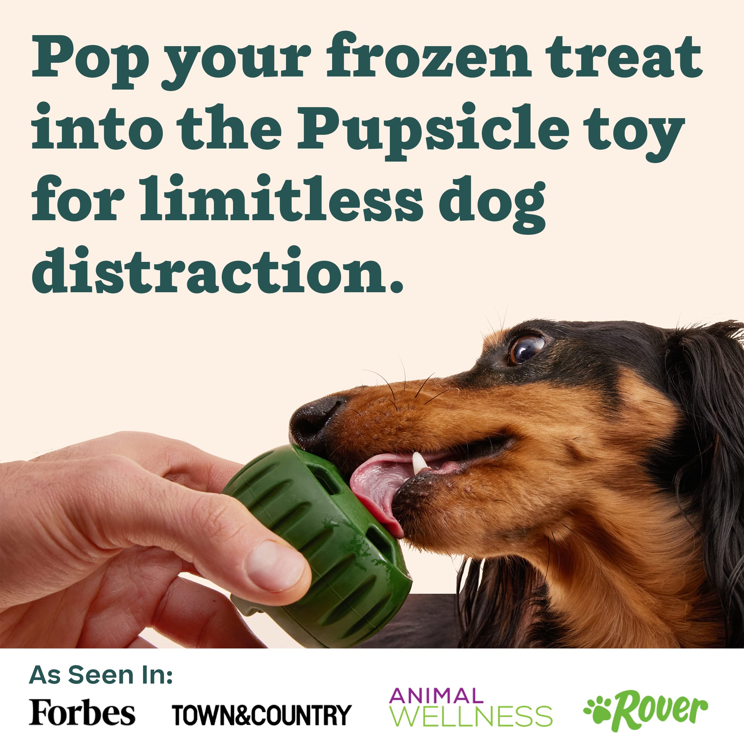 Woof Pupsicle: design pensé à Denver pour la sécurité