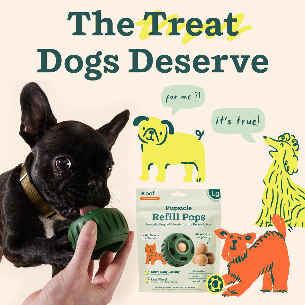 WOOF Pupsicle usage extérieur: parfait pour parc, voiture et randonnées